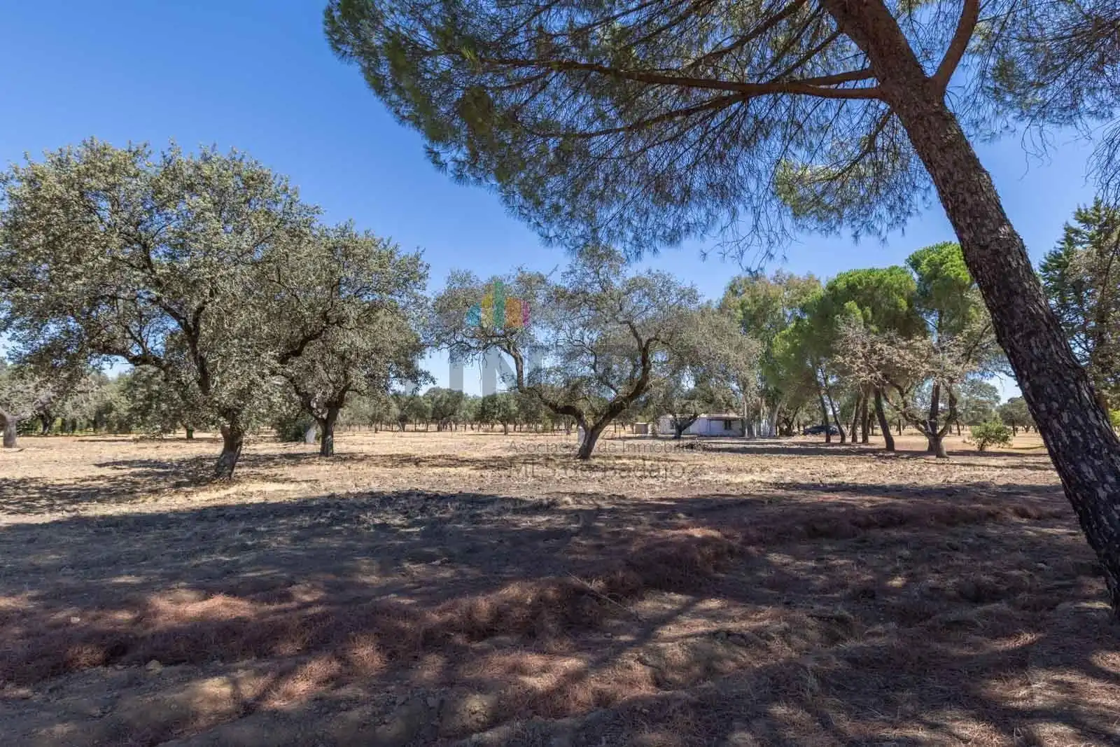 Chalet con piscina en venta en Pedanías de Badajoz, imagen 4