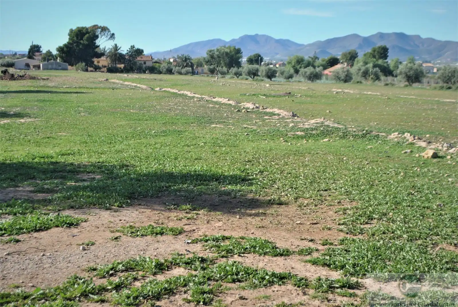 Lands and plots for sale in Pedanías Sur