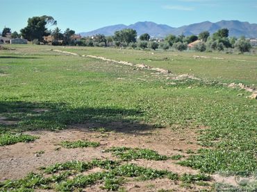 Terreni e lotti in vendita a Pedanías Sur
