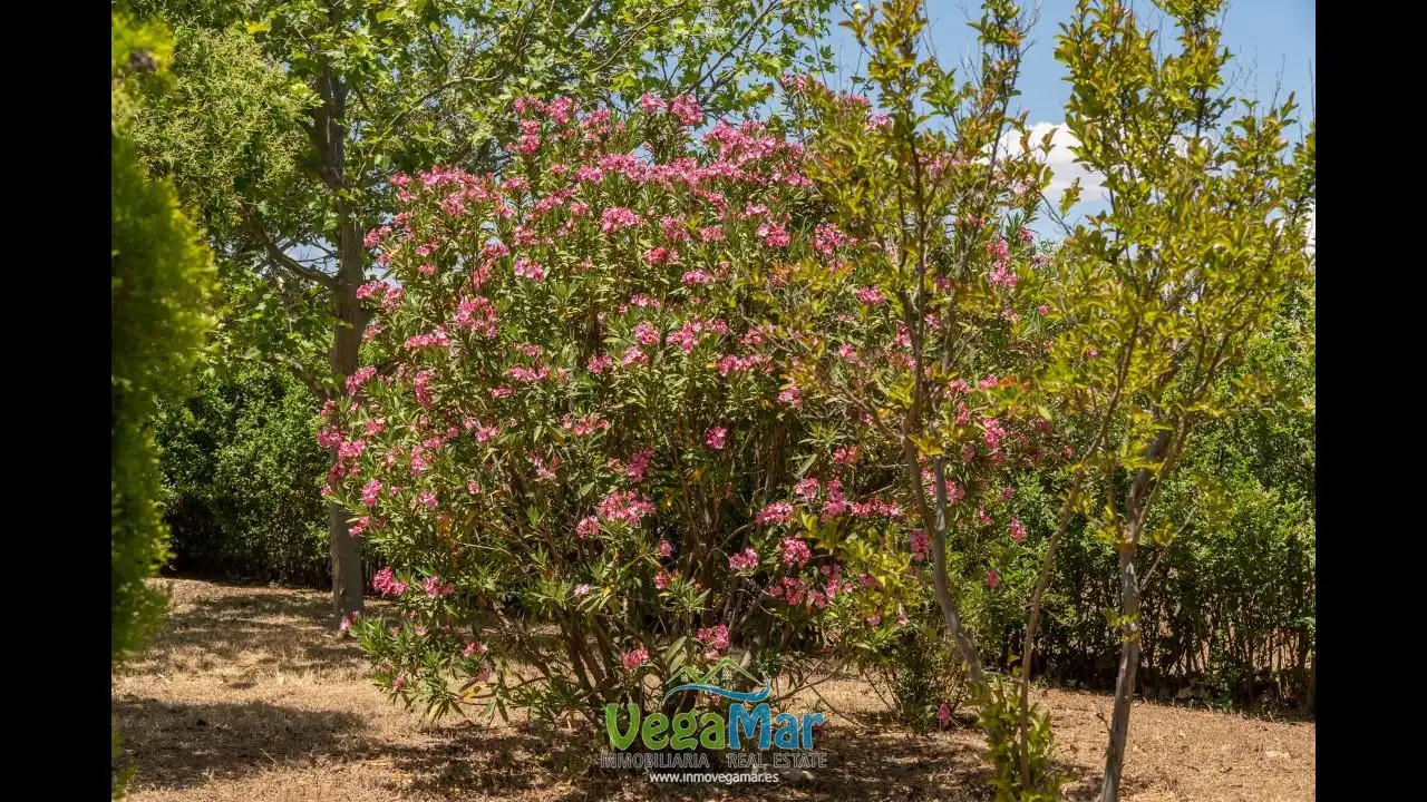 Garden of Country homes for sale in Freila