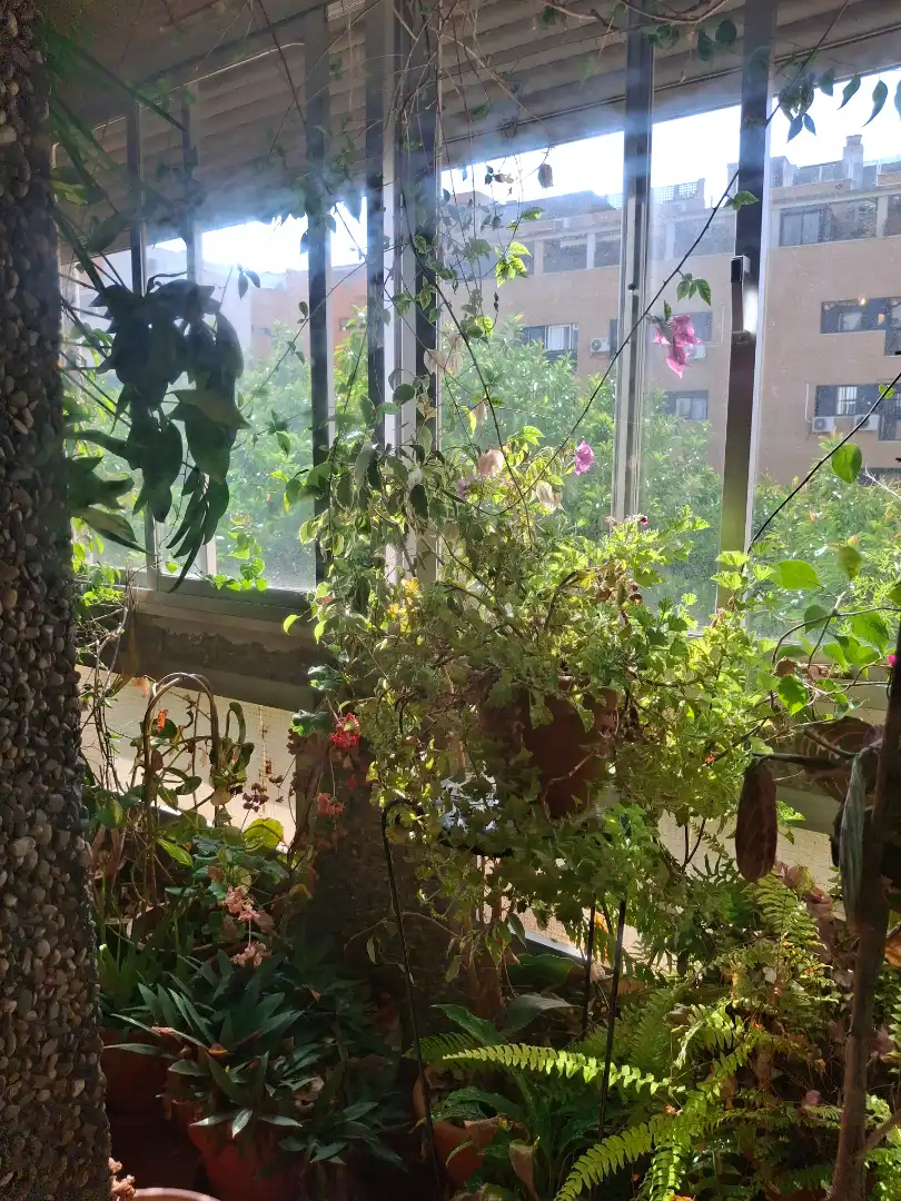 Appartement avec ascenseur à vendre à Calle Echegaray, imagen 7