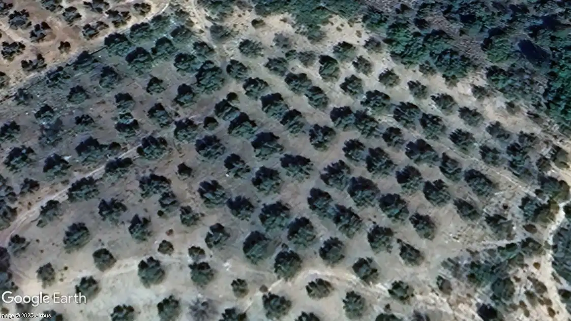 Terrain rustique à vendre à Puente de Génave, imagen 2