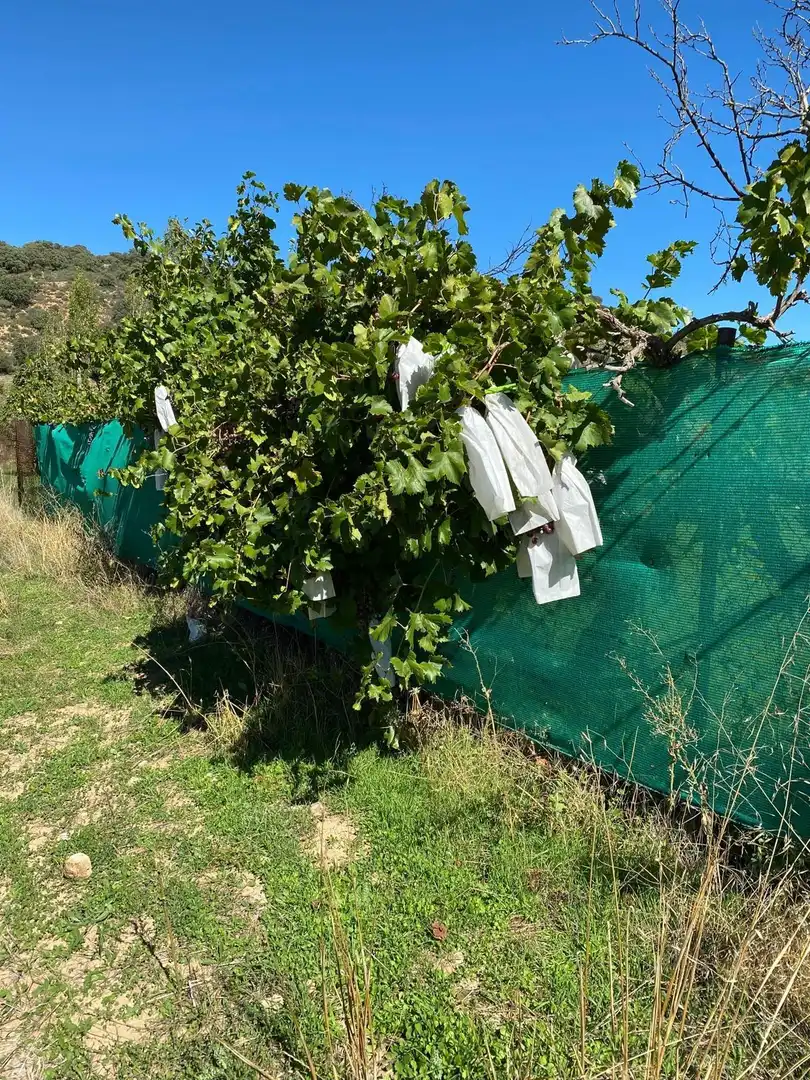 Jardín de Terreno en venta en Escopete
