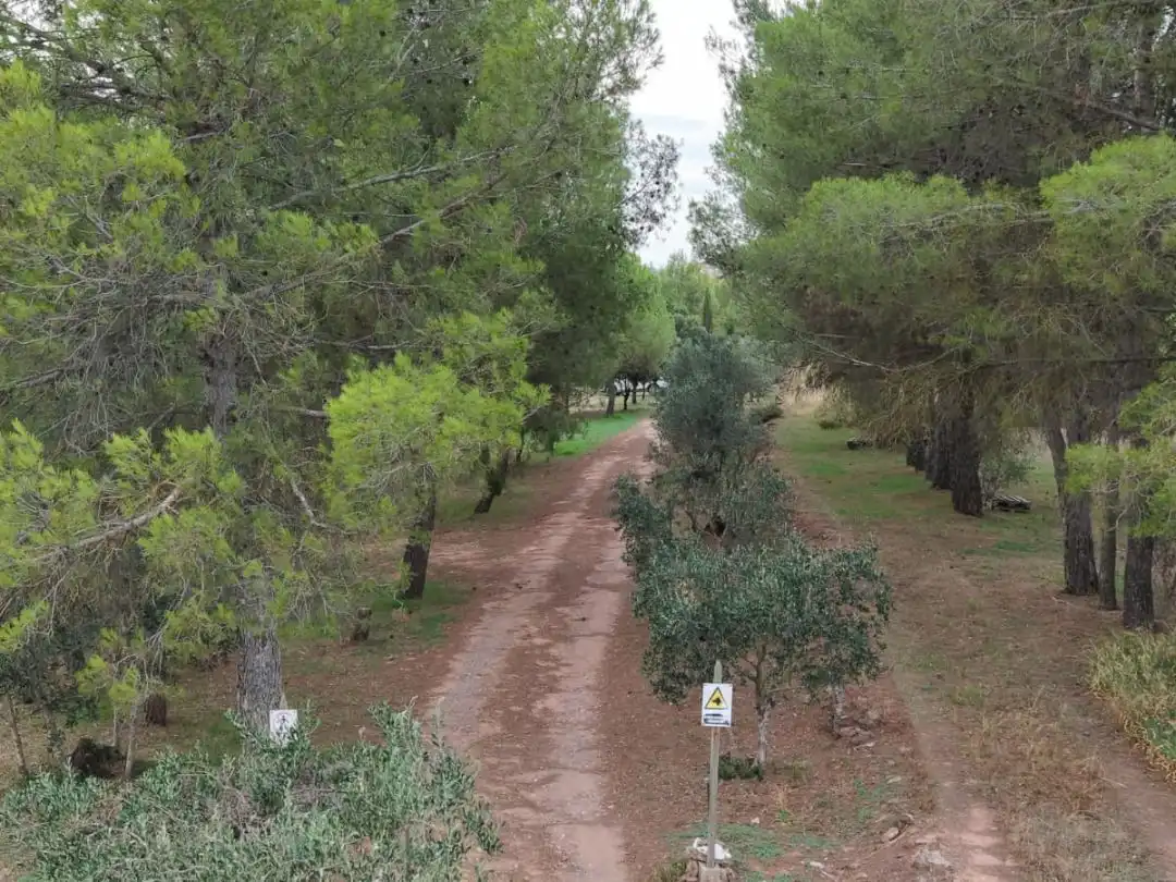Vista exterior de Terreno en venta en Manresa