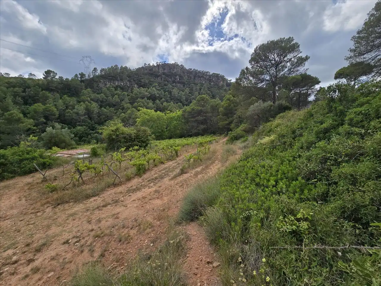 Terreny residencial en venda a Plana de Cal Cendra