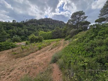 Terreno residencial en venta en Plana de Cal Cendra