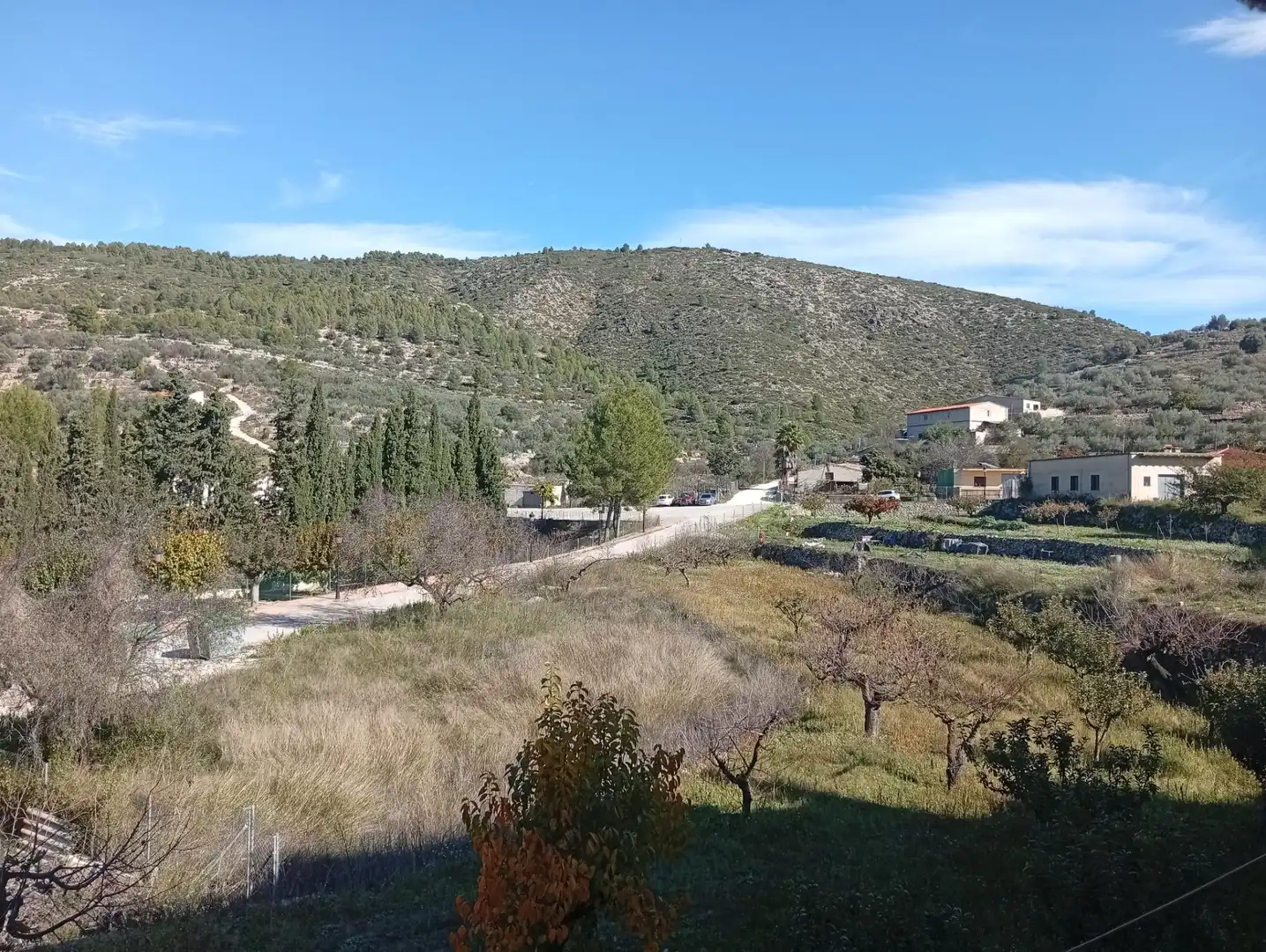 Vista exterior de Finca rústica en venta en Castell de Castells con Jardín privado