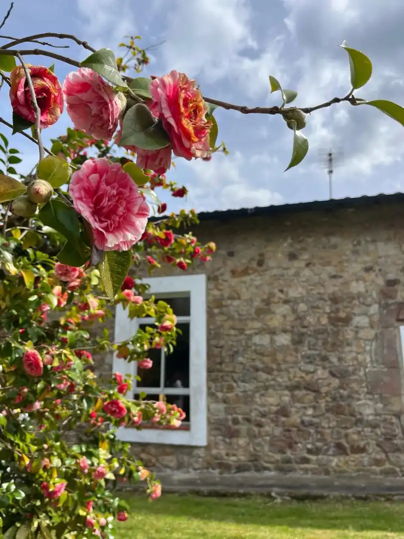 Garden of Houses for sale in Valdáliga  with Heating, Terrace and Storage room