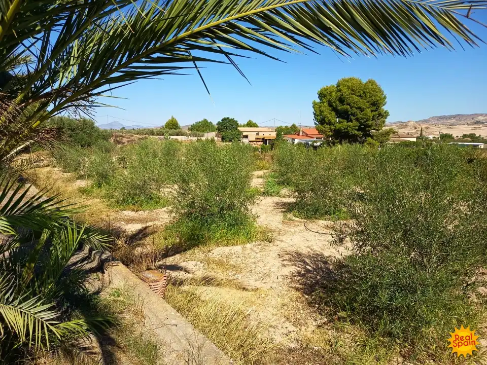 Finca rústica en venda en Lorca amb Piscina i Balcó