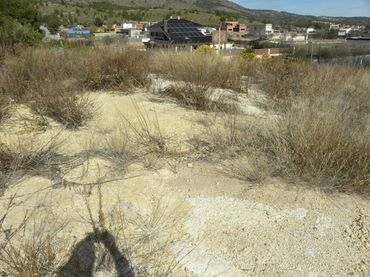 Terreno residenziale in vendita a Calle Vial