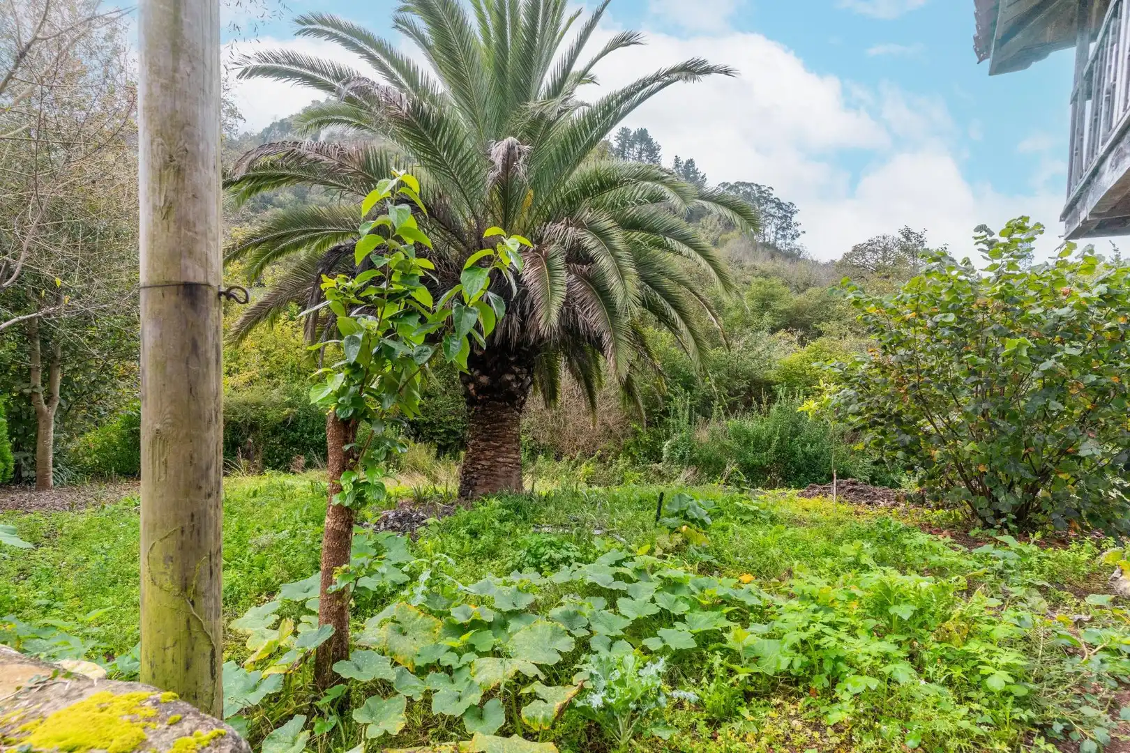 Jardí de Casa o xalet en venda en Siero amb Calefacció, Jardí privat i Terrassa