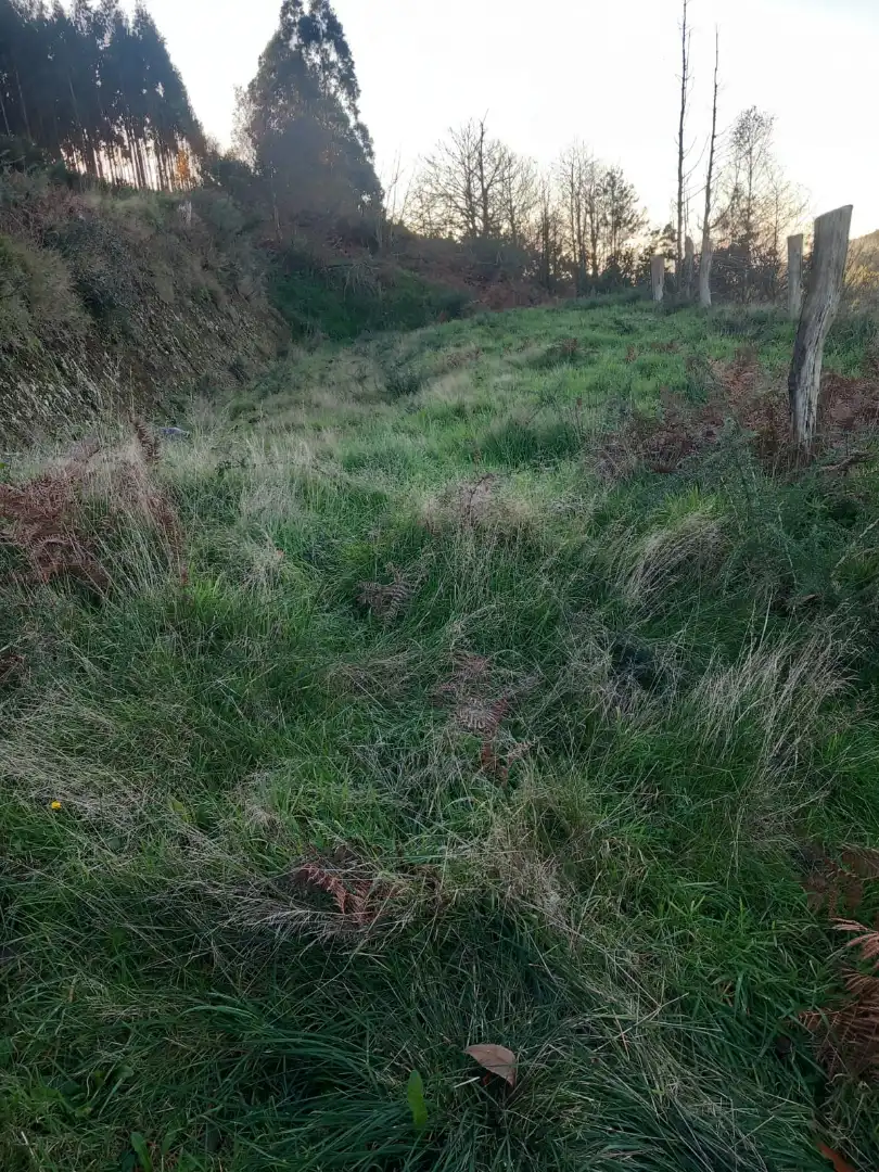 Terreno residenziale in vendita a Área Rural, imagen 7