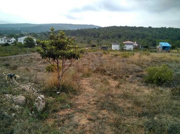 Residential land for sale in Querol