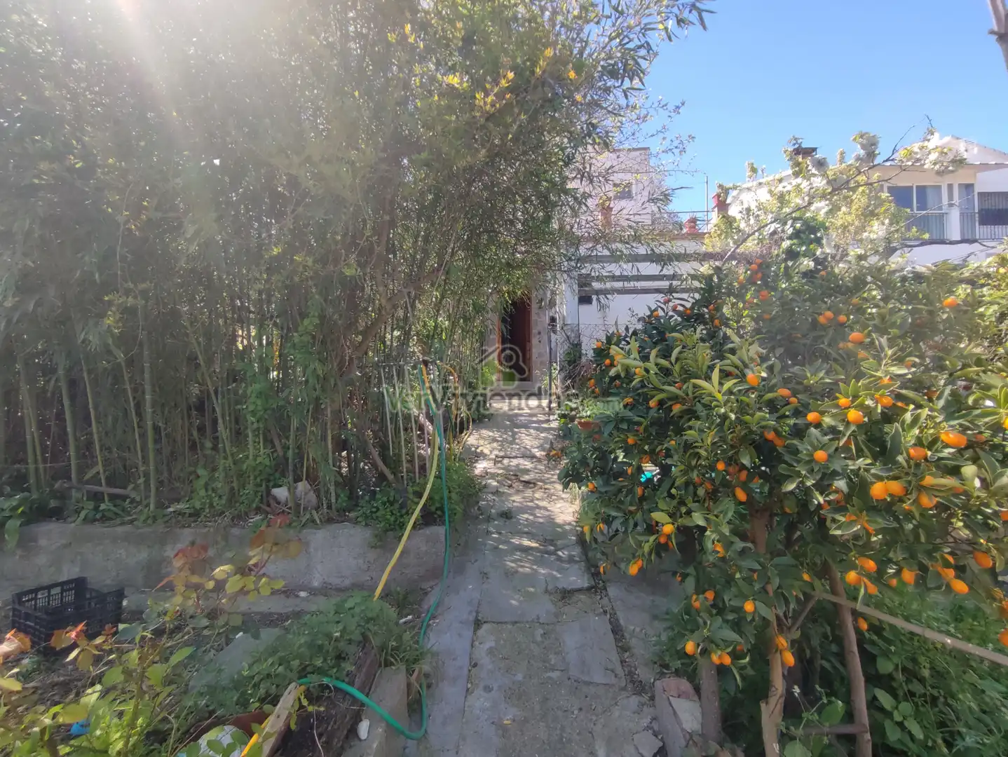 Maison avec terrasse à vendre à Sant Esteve Sesrovires, imagen 25