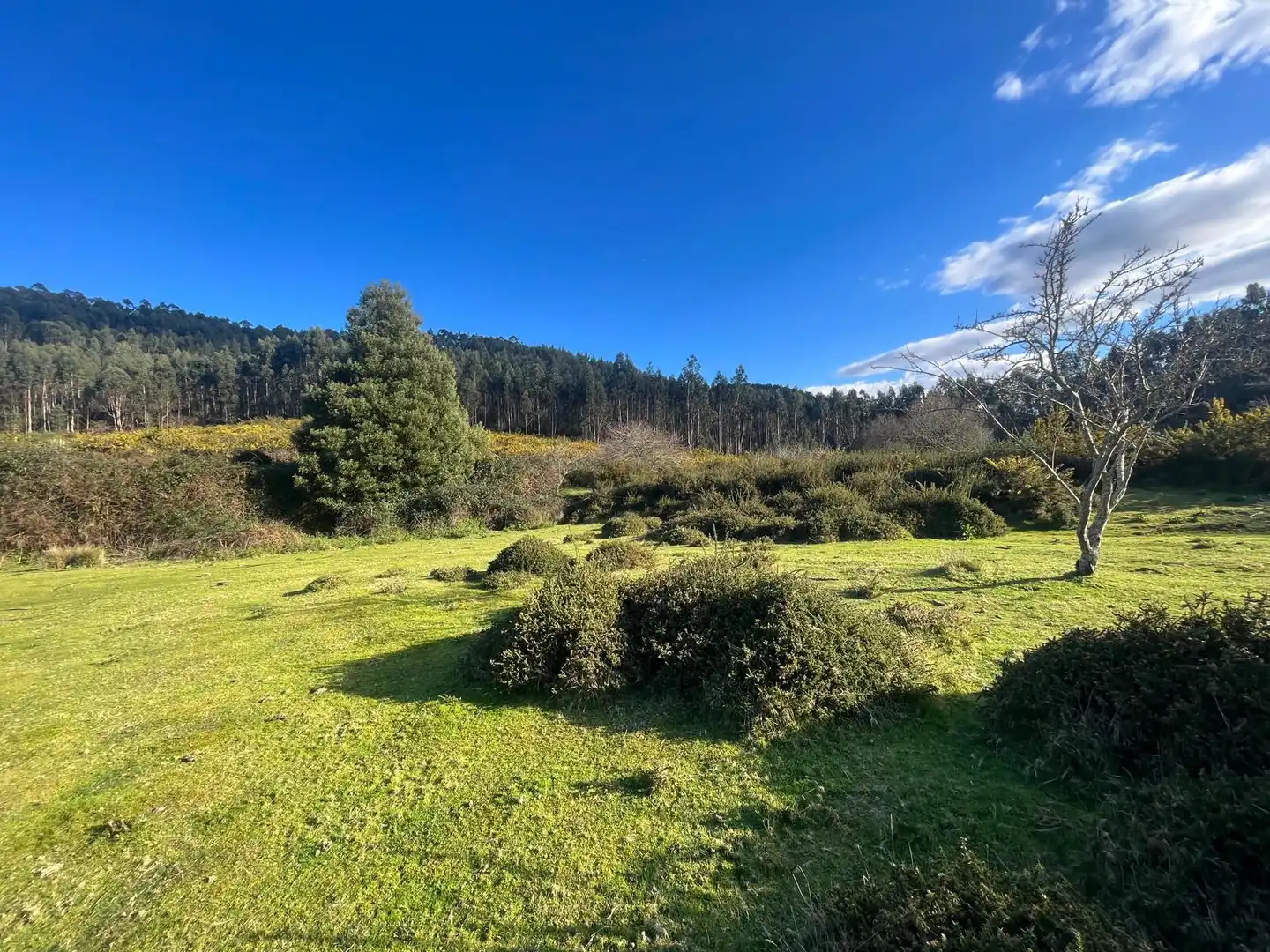 Terreno rustico in vendita a O Rosal, imagen 4