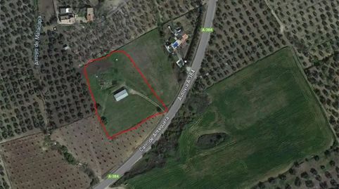 Foto 5 de Finca rústica en venta en Diseminado Vallehermoso, 47, Olvera, Cádiz
