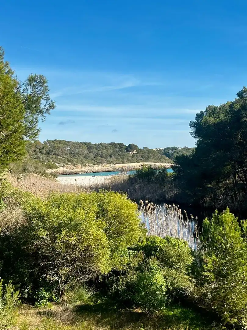 Country house zum Verkauf in DS POLIGONO 11 845, Cala Figuera