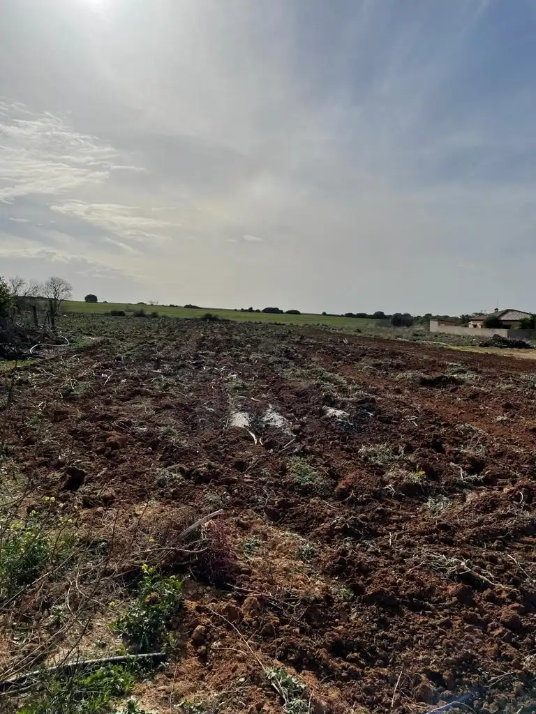 Rural land for sale in Barrio Nuevo, imagen 3