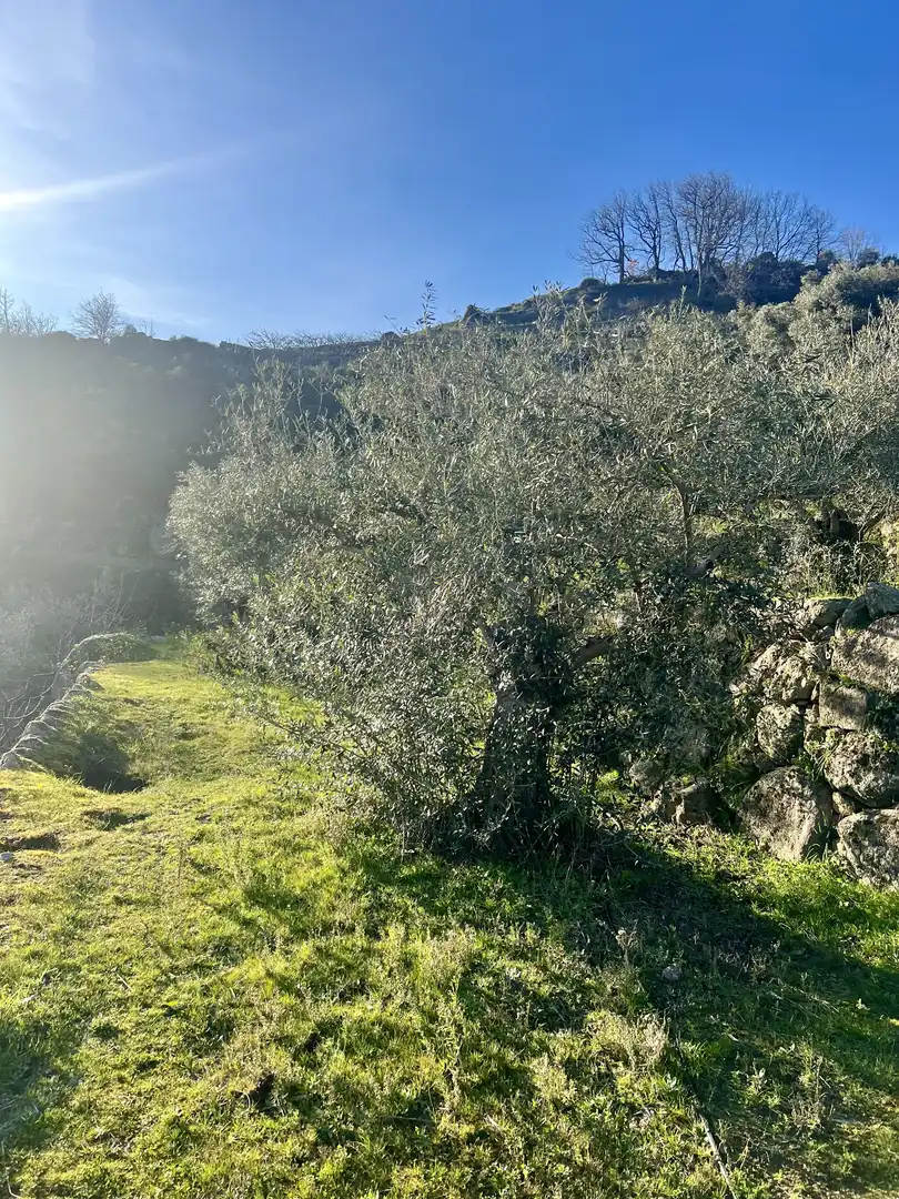 Terreni e lotti in vendita a El Torno, imagen 4