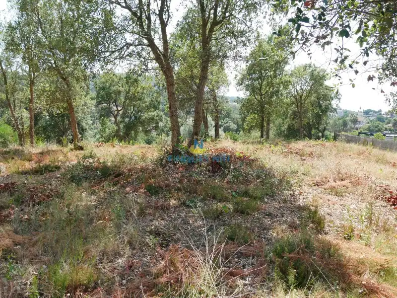 Residential land for sale in Montbarbat, imagen 10