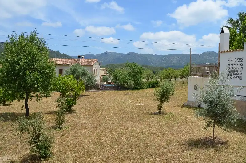 Rural land for sale in Calvià pueblo, imagen 3