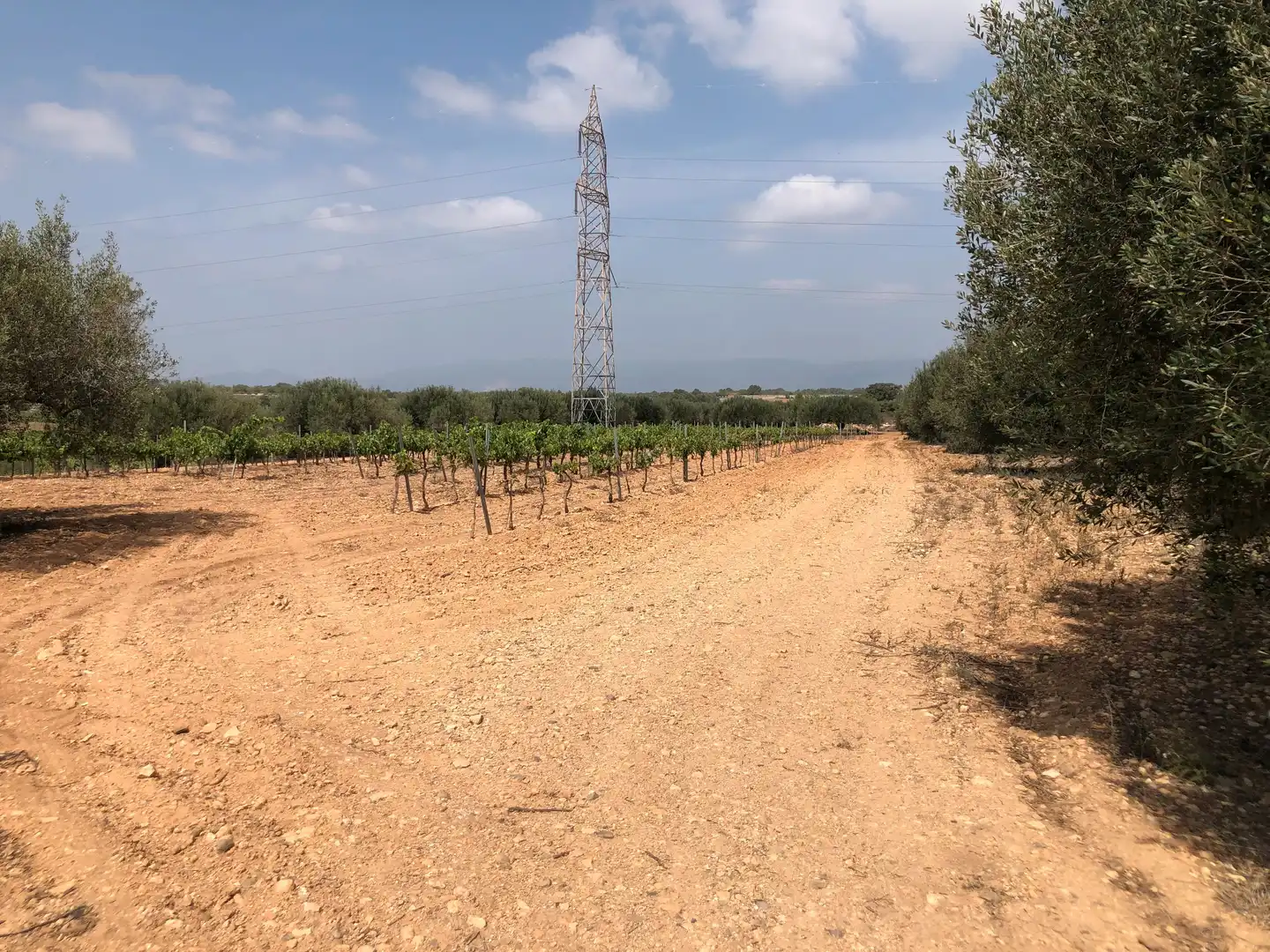 Terreno rústico en venta en Vilabella, imagen 17
