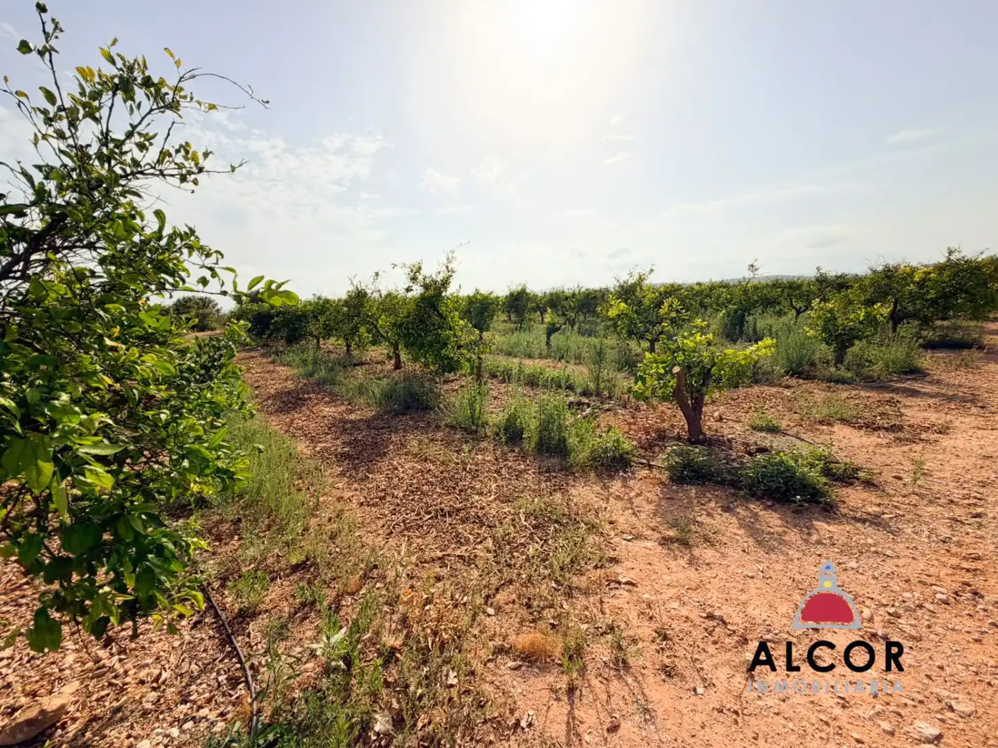 Terrenos y solares en venta en Pueblo, imagen 5