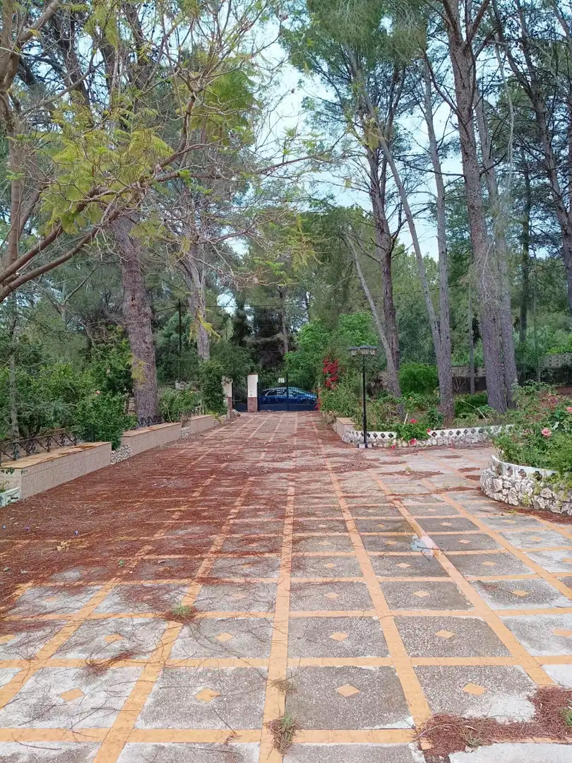 Jardín de Casa o chalet en venta en Alzira con Jardín privado y Terraza
