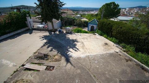 RuteCasa, image 2
