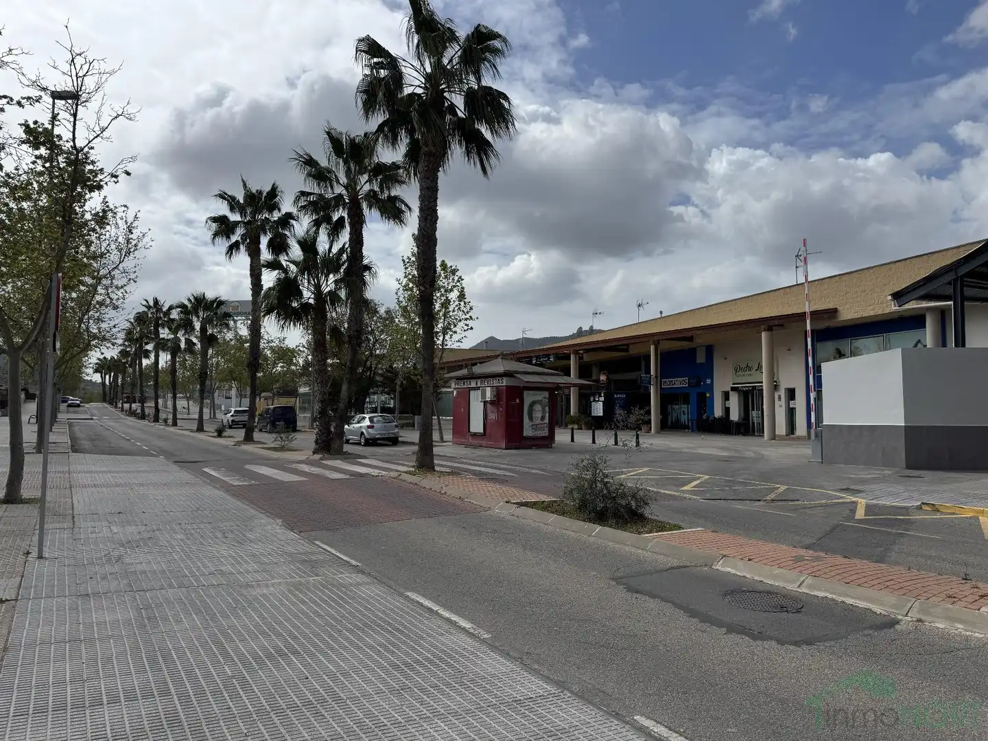 Local comercial en venta en Pedanías Oeste, imagen 13
