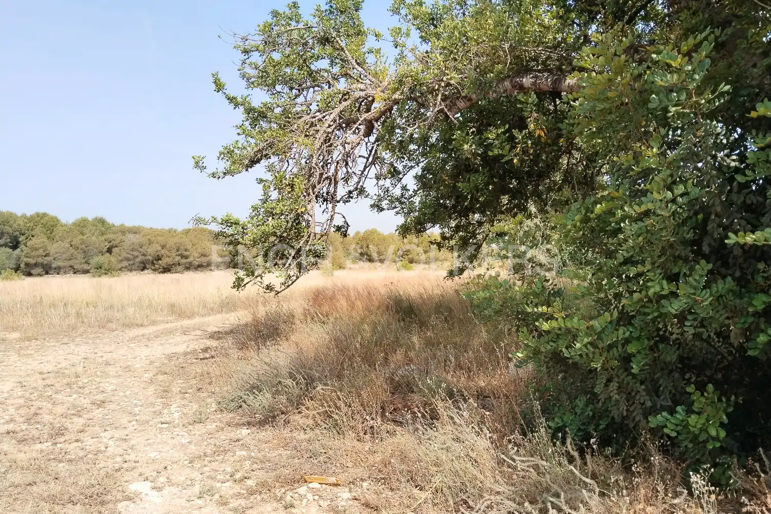 Residencial en venta en Manises