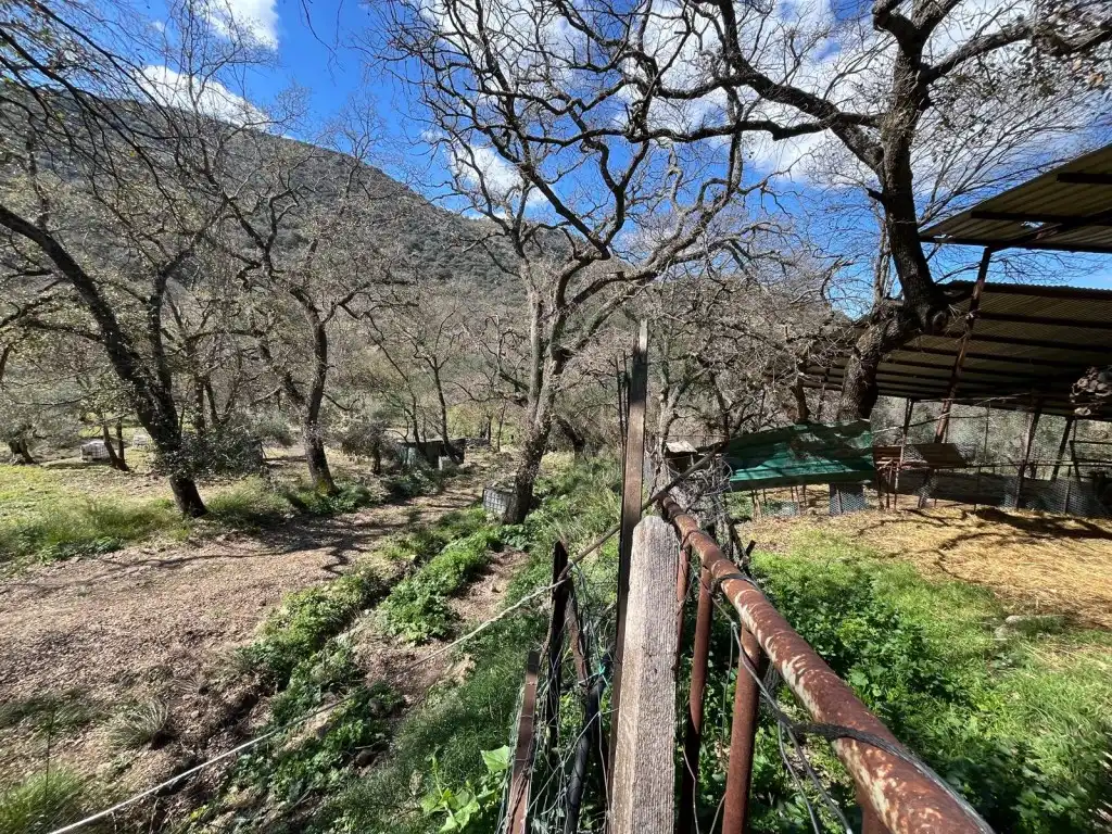 Jardí de Finca rústica en venda en Ronda