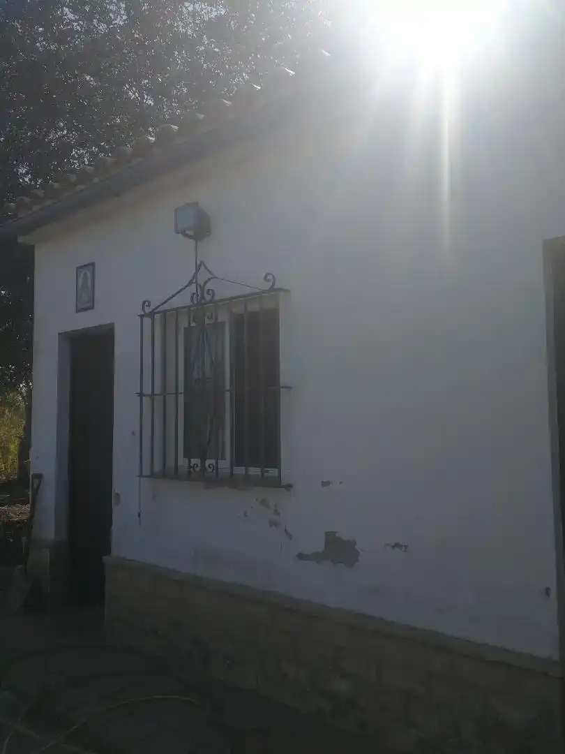 Vista exterior de Casa o chalet en venta en Arahal con Piscina