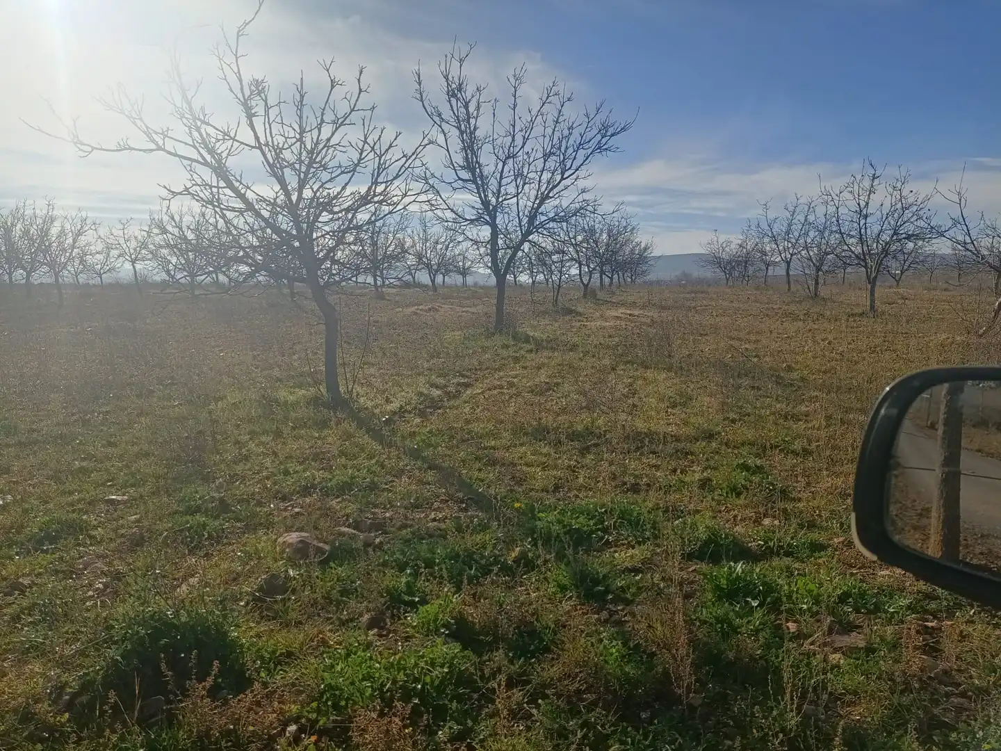 Terreno en venta en Manzaneque