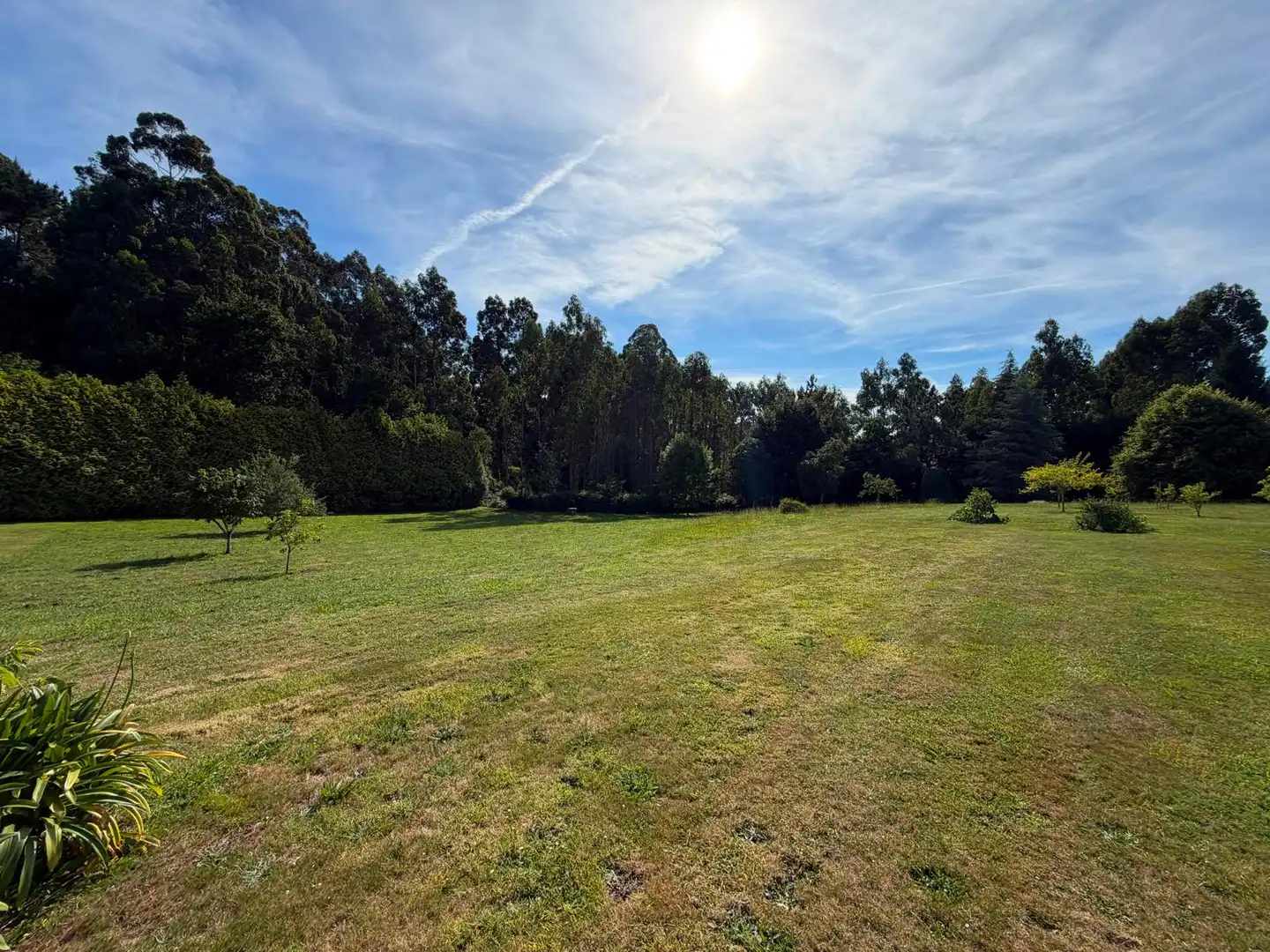 Land for sale in Fene