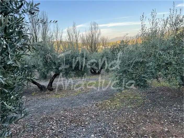 Terreni e lotti in vendita a Alcaudete, imagen 8