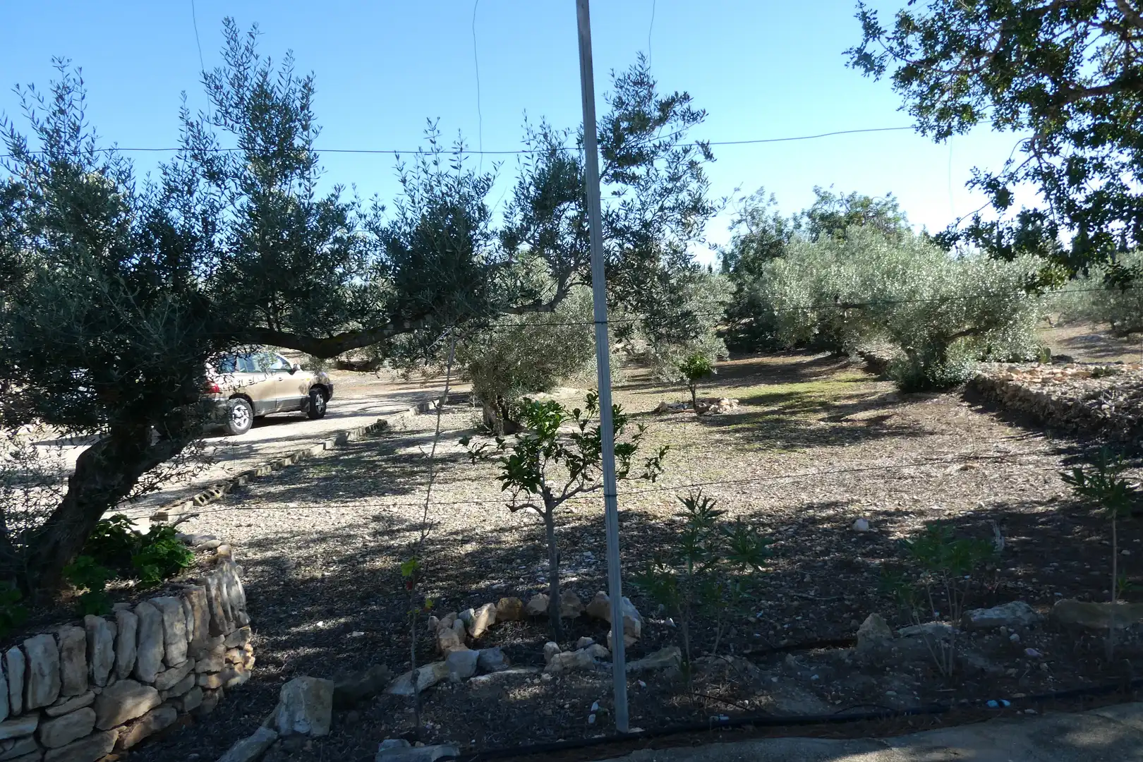 Finca rústica en venda en L'Ampolla amb Aire condicionat, Jardí privat i Piscina