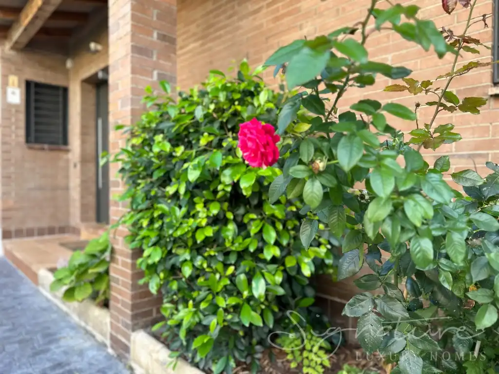 Vista exterior de Casa o chalet de alquiler en Sant Cugat del Vallès con Aire acondicionado, Calefacción y Jardín privado