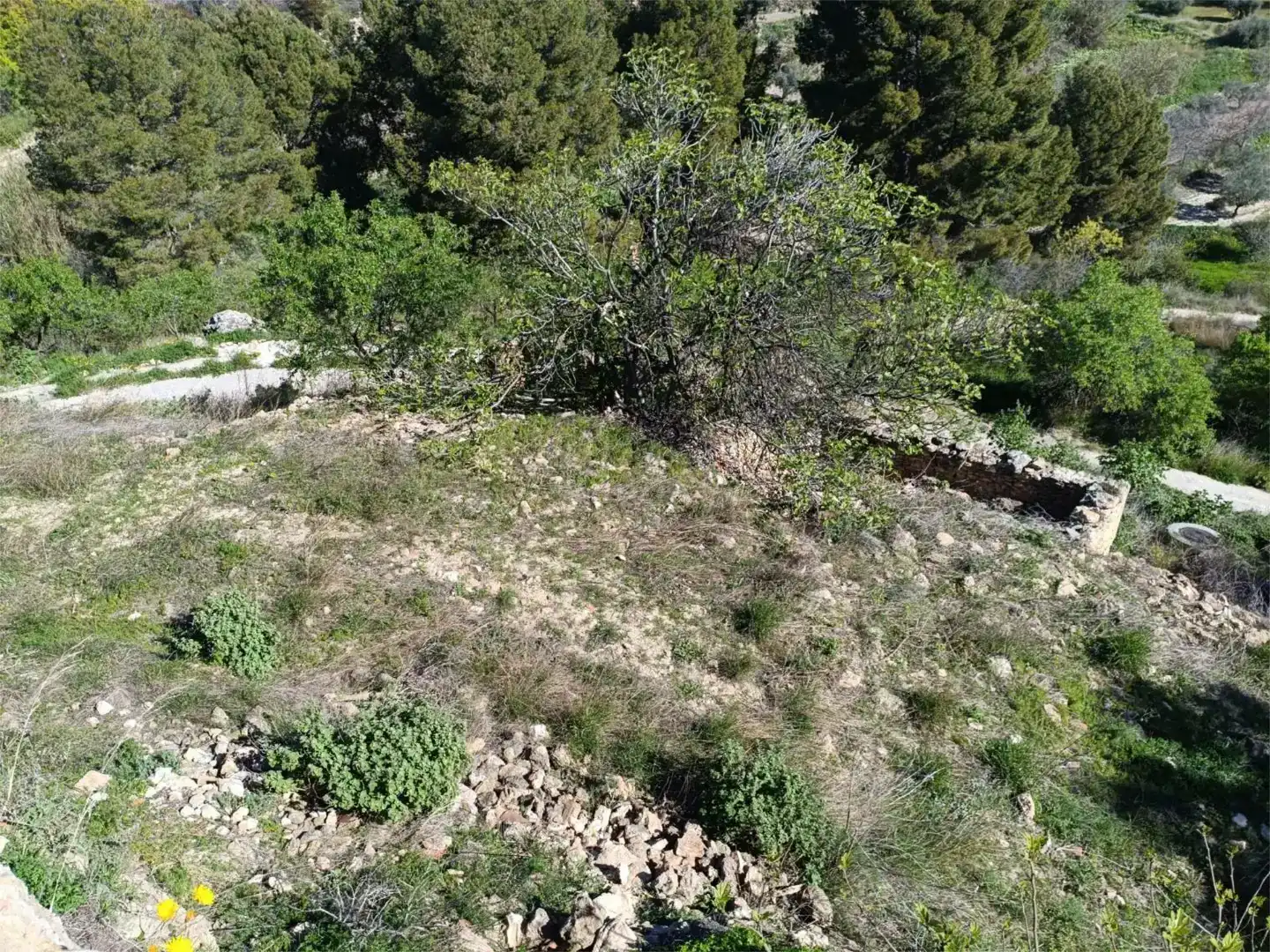 Flat for sale in Socovos