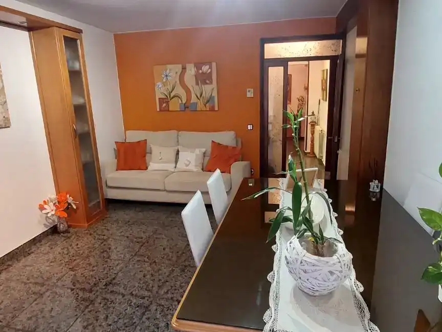 Sala d'estar de Pis en venda en Terrassa amb Balcó