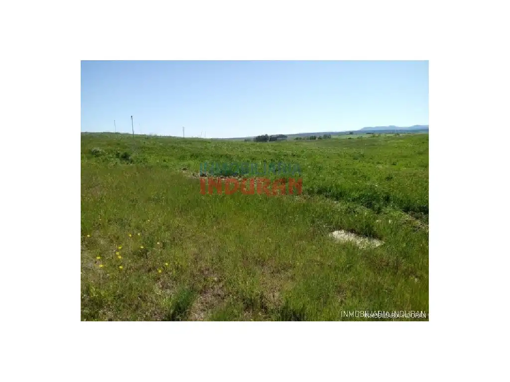 Country homes for sale in Alcolea de Tajo