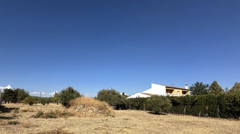 SE VENDE SOLAR ZONA EL CAMPILLO, immagine 2