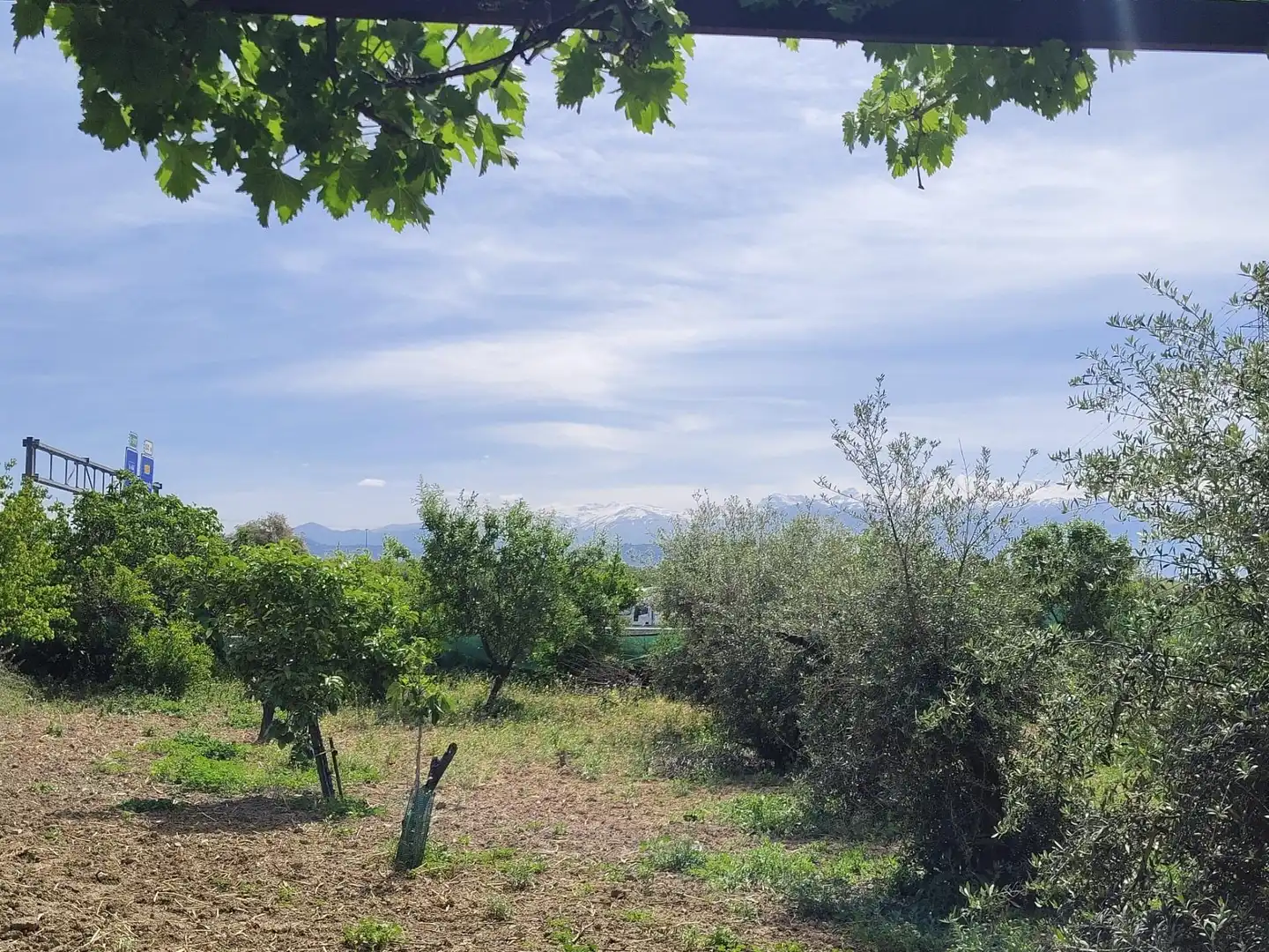 Country homes for sale in Albolote  with Private garden and Storage room
