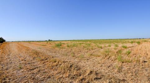 Photo 2 of Land for sale in Camino Sacedón, Brunete, Madrid