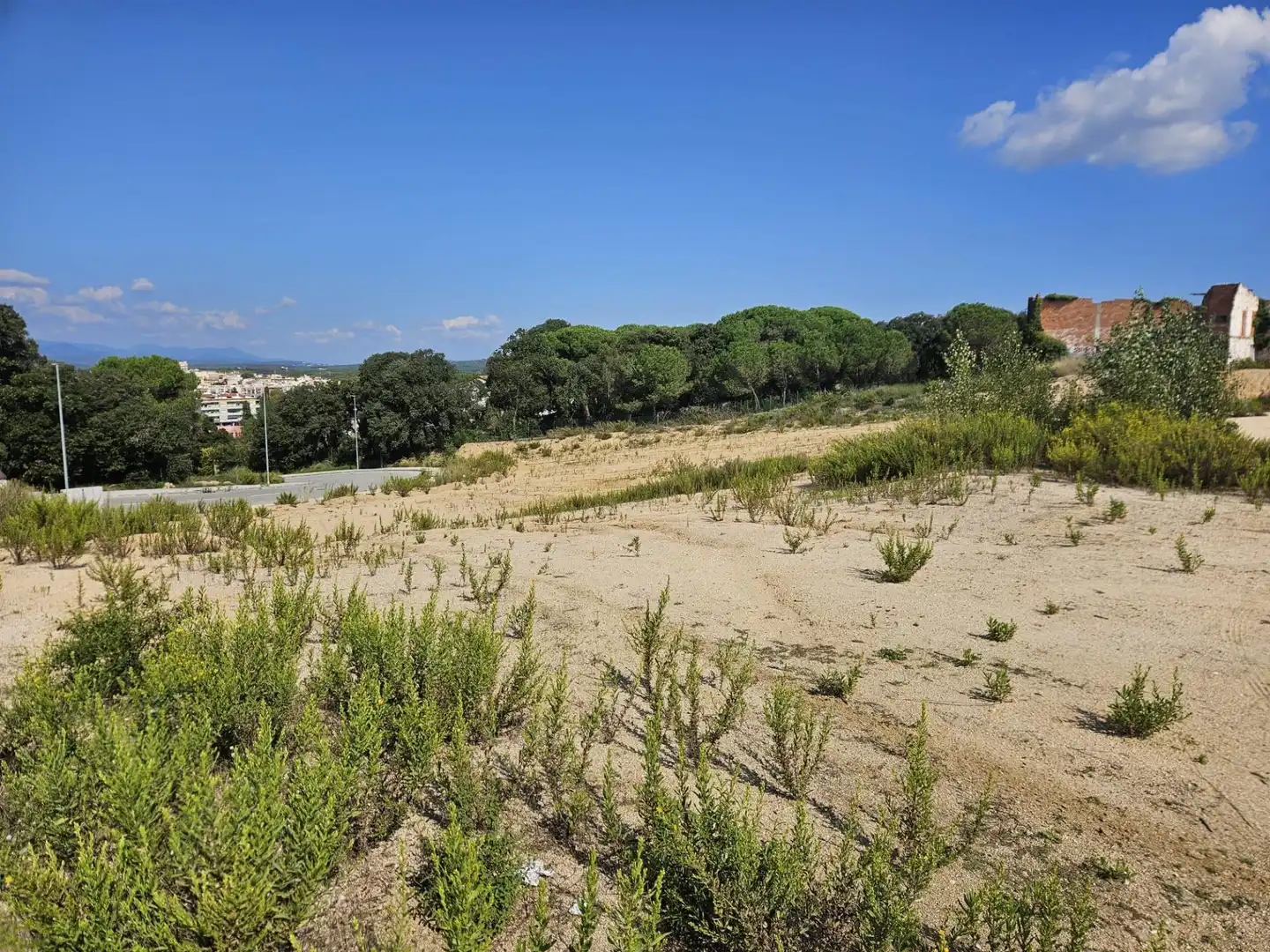 Terrenos y solares en venta en Palafolls, imagen 9