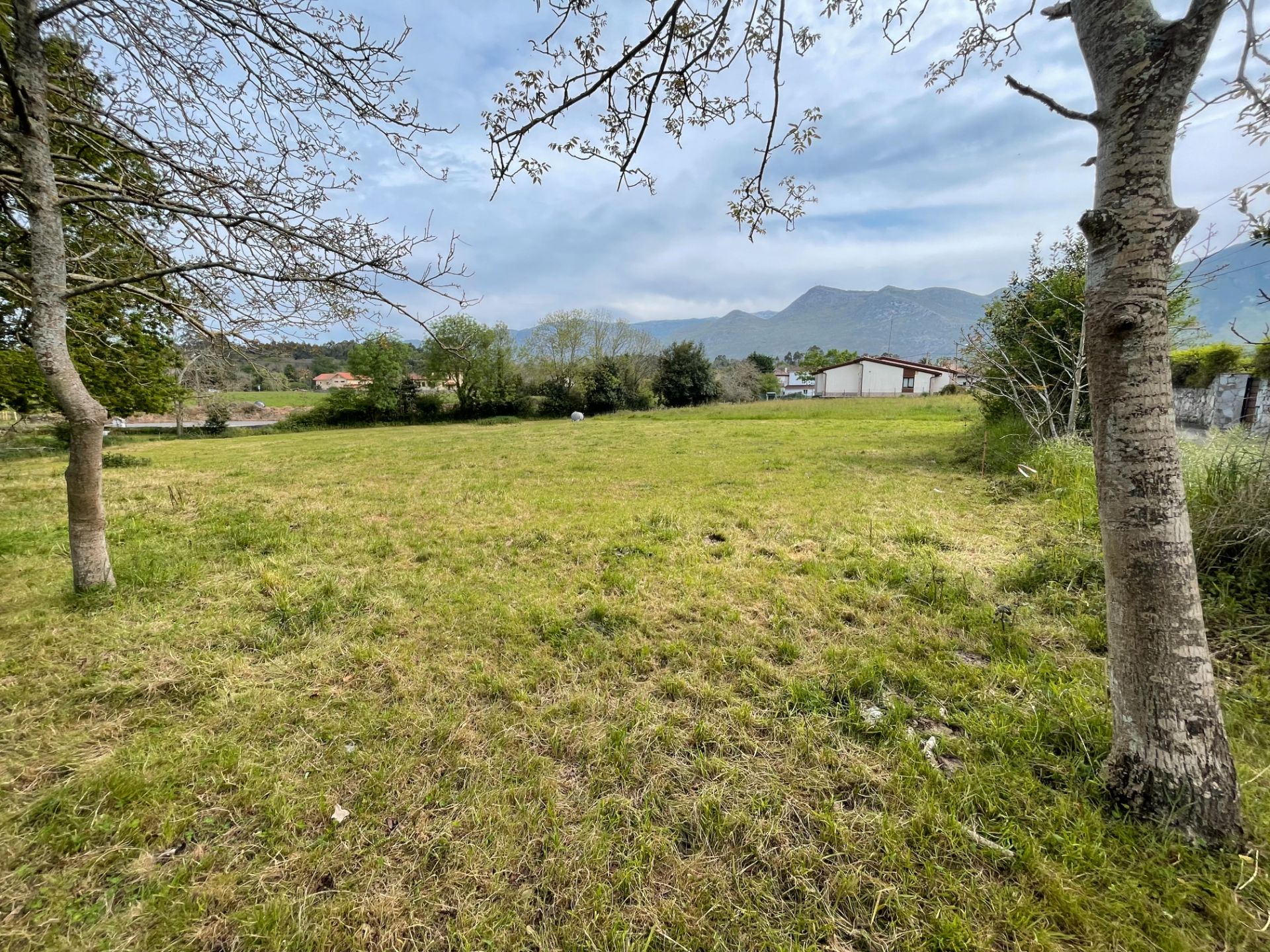 Terreno en venta en Llanes