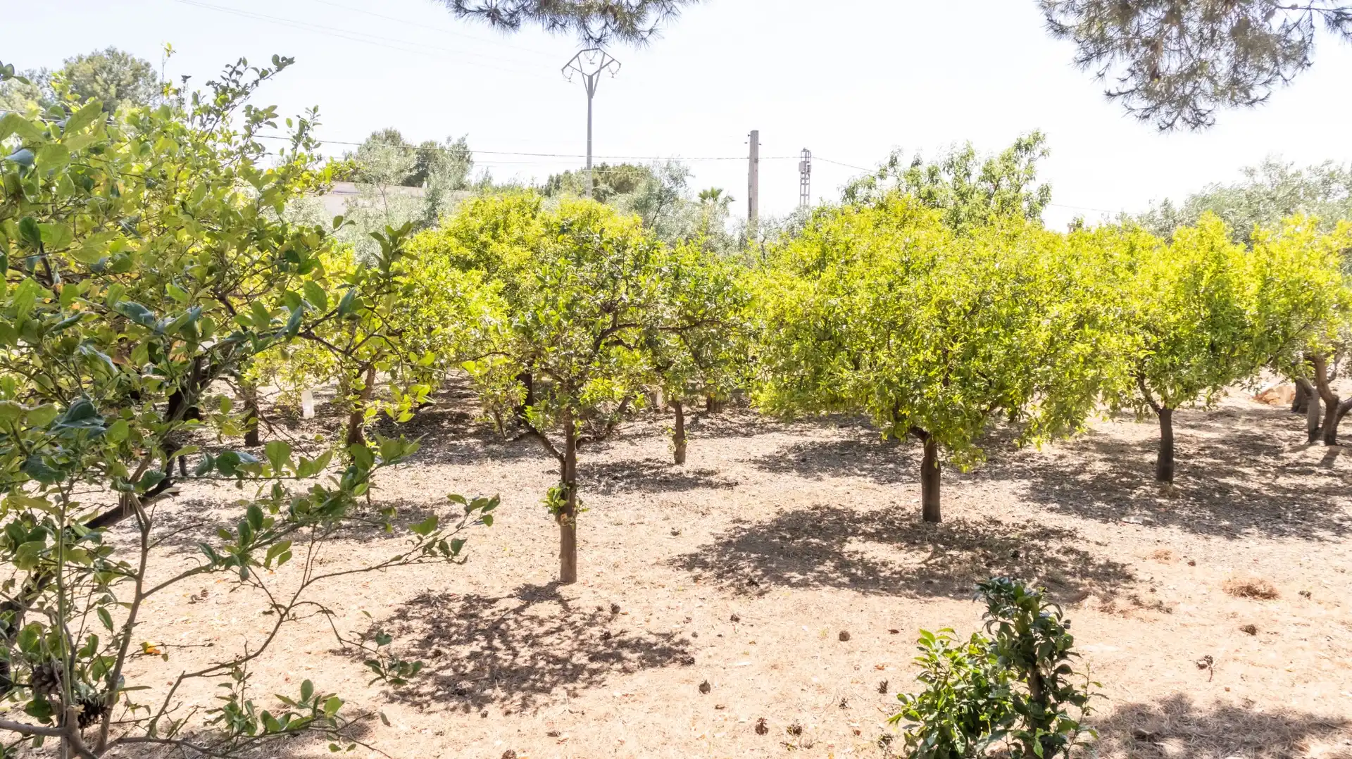 Casa o chalet en venta en Elche / Elx con Aire acondicionado, Trastero y Amueblado