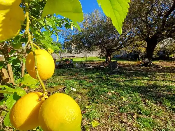 Terreni e lotti in vendita a Camino Petón