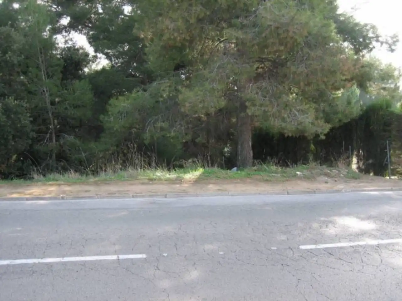 Rural land for sale in Avenida MONTBUI 50, imagen 7