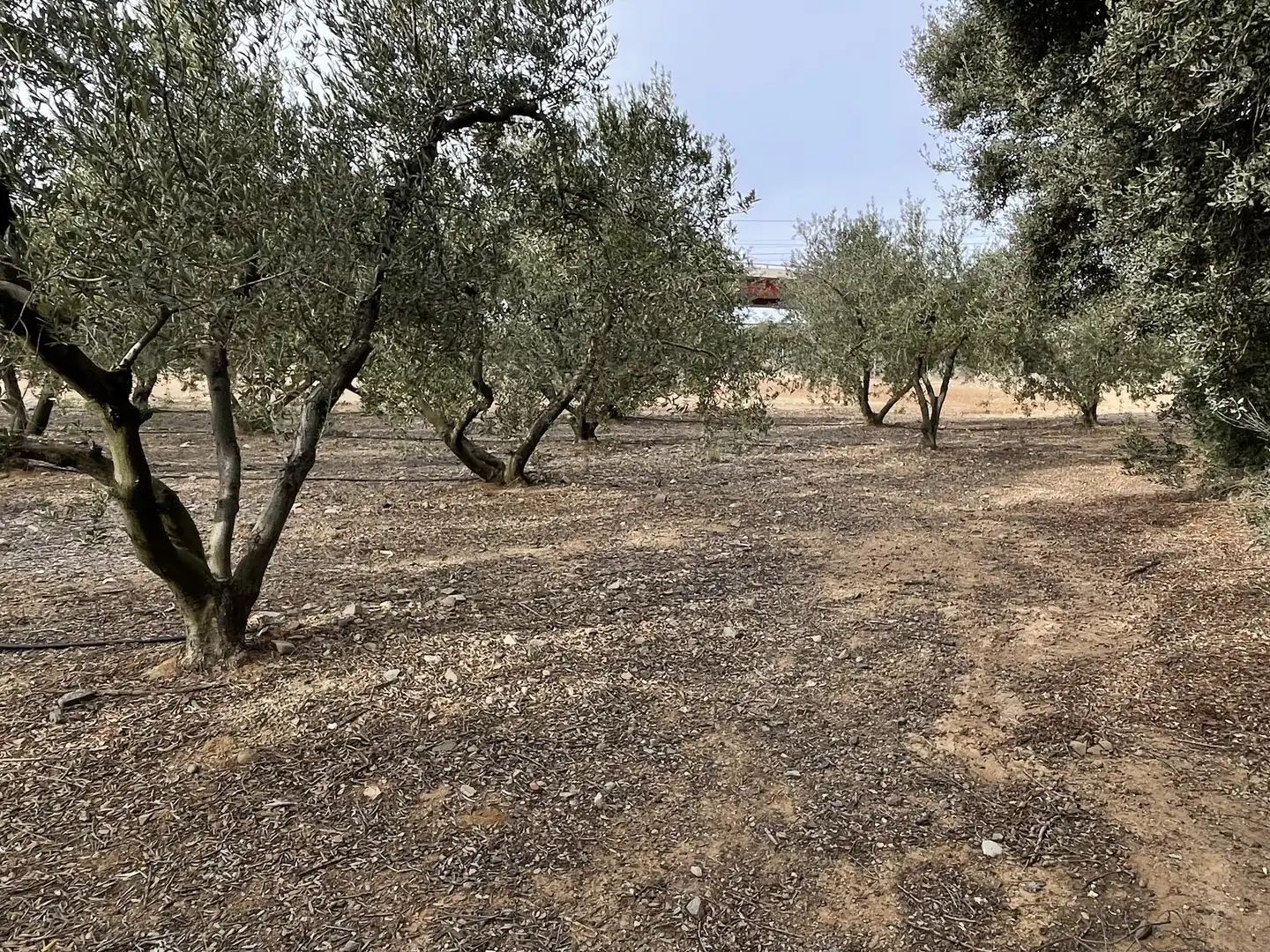 Land for sale in Cambrils